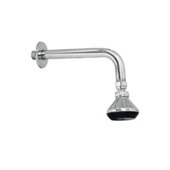 Bras de douche avec douche de tête