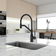 Rubinetto Lavello Nero | Beccuccio Flessibile a U, Design Moderno ed Ecologico